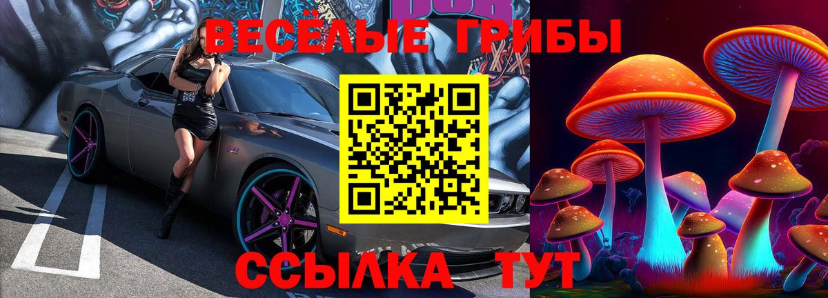 Галлюциногенные грибы мицелий Саянск
